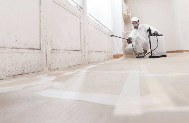 24/7 Emergency Black Mold Removal experts in Arlington Heights, PA