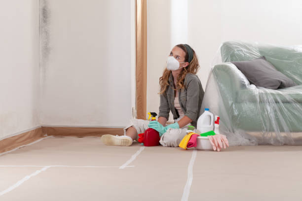 Reliable Black Mold Removal contractor in Arlington Heights, PA by WQB Mold Removal